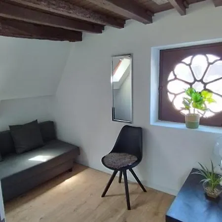 Apartment The 16th Century Duplex In The City Center *