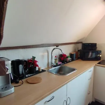 Apartment The 16th Century Duplex In The City Center *