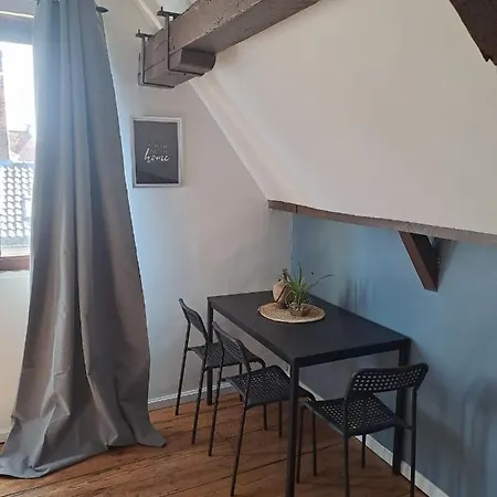 The 16th Century Duplex In The City Center Apartment