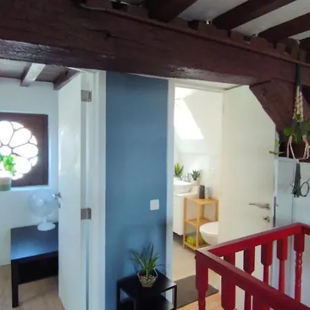 The 16th Century Duplex In The City Center Antwerp